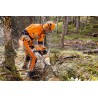 STIHL    bon d'achat   100.00 EUR