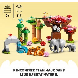 LEGO Duplo 10974 Wilde Tiere Asiens