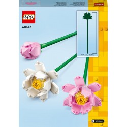 LEGO 40647 Lotus Flowers