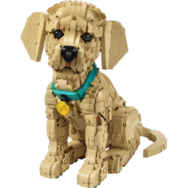LEGO Icons Le chiot Golden Retriever