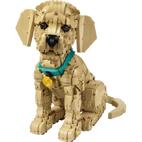 LEGO Icons Le chiot Golden Retriever