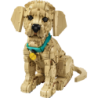 LEGO Icons Le chiot Golden Retriever
