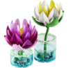 LEGO Botanicals Seerosen