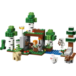 LEGO Minecraft L'aventure de la première nuit