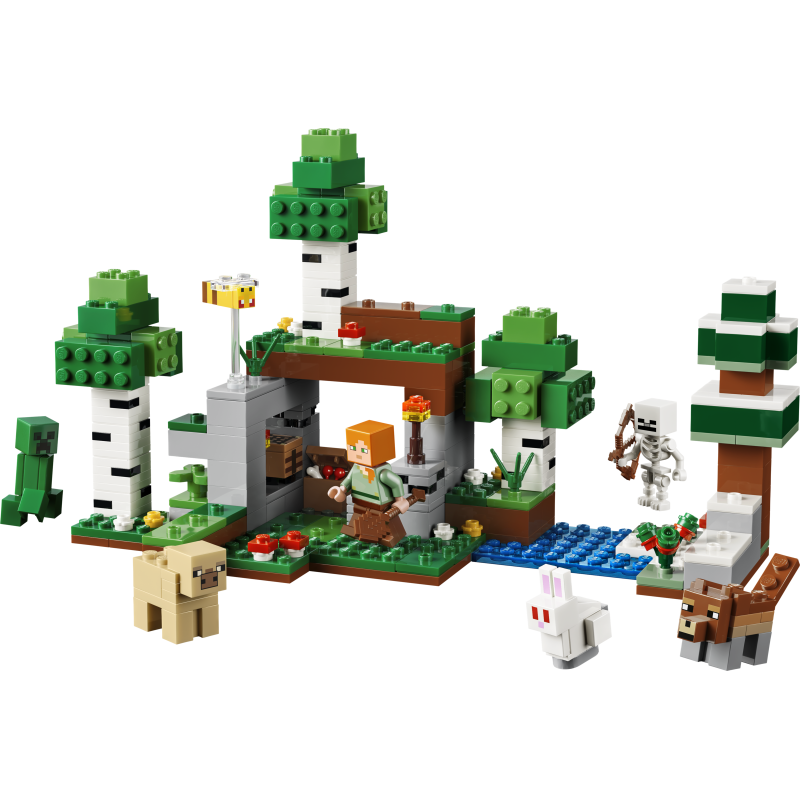 LEGO Minecraft L'aventure de la première nuit
